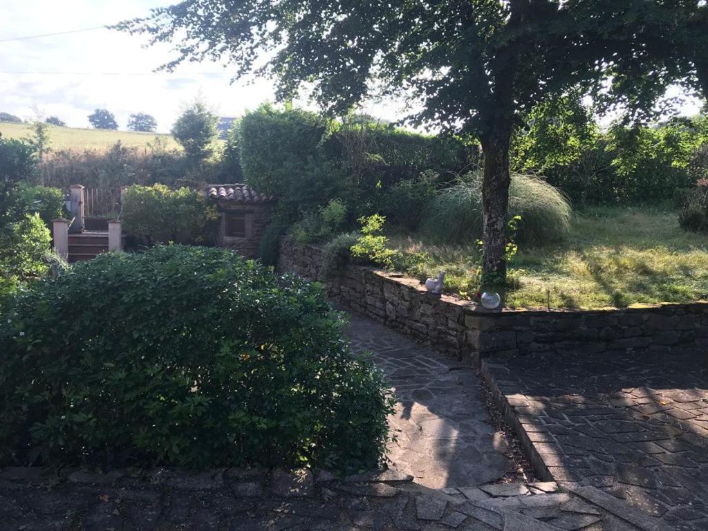 Le Gite De Las Peyros Mirandol-Bourgnounac Exterior photo
