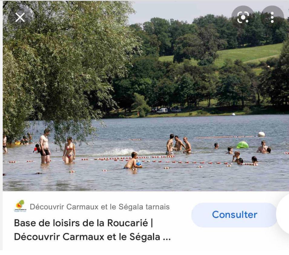 Le Gite De Las Peyros Mirandol-Bourgnounac Exterior photo